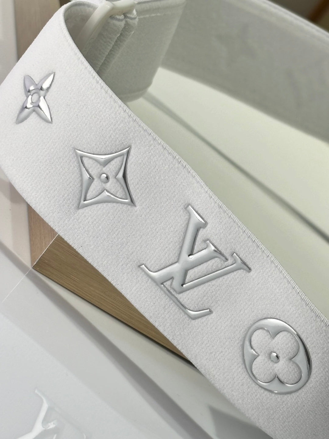 Louis Vuitton Ski Goggles