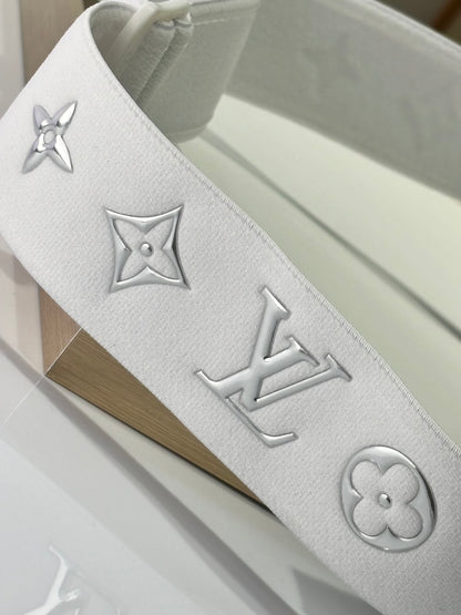 Louis Vuitton Ski Goggles