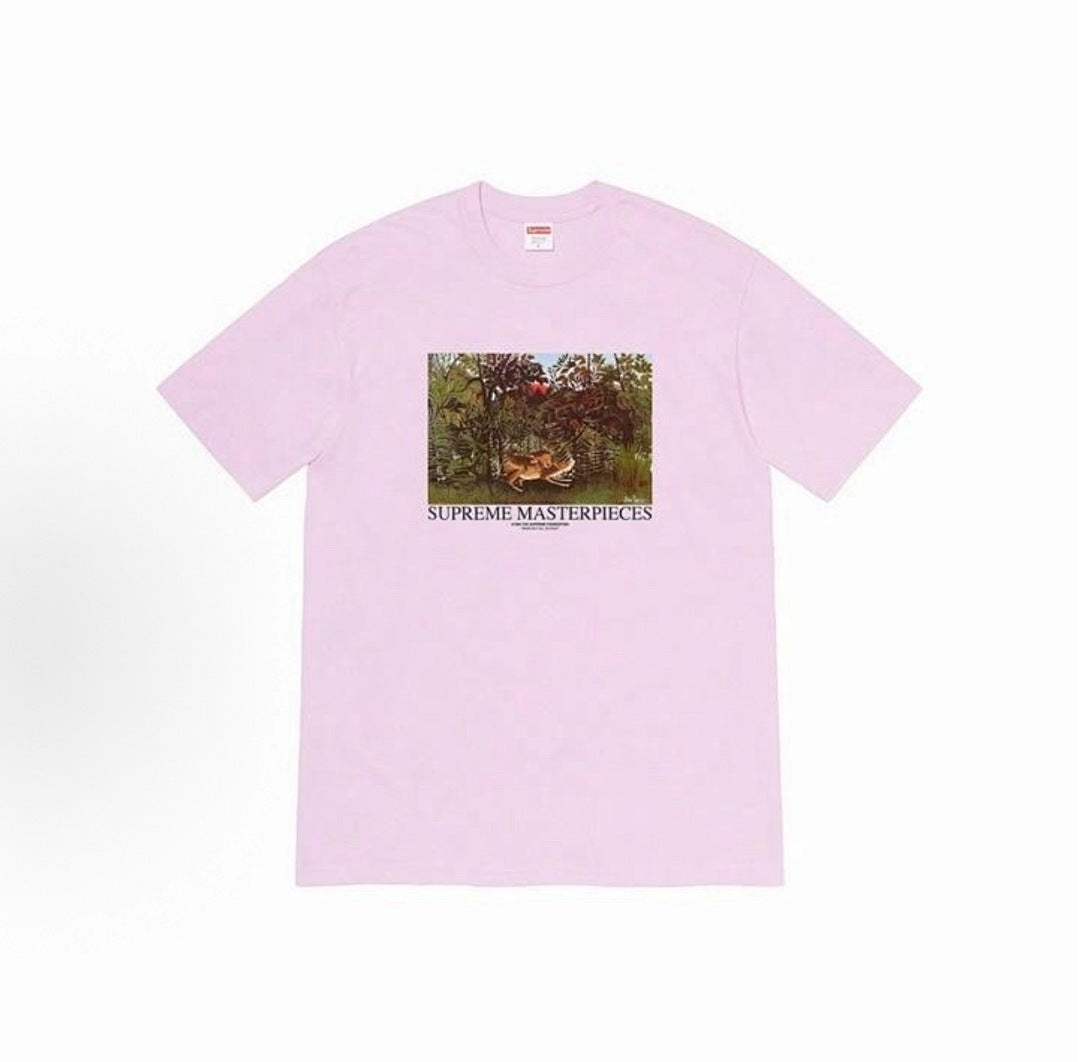 款号M408#p40💰 Supreme SS20 Week 1 Masterpieces Tee 风景印花短袖美式潮流T恤 男女同款 宽松版型 采用260克双纱纯棉 圆筒 从面料到辅料全部三标齐 - view 5