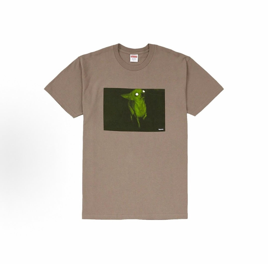 款号M461#p40💰 Supreme FW18 Chris Cunningham Chihuahua Tee Red 美式潮流吉娃娃短袖T恤 男女同款 宽松版型 采用260克双纱纯棉 圆 - view 2